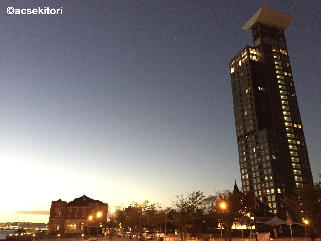 f:id:acsekitori:20190219210921j:plain