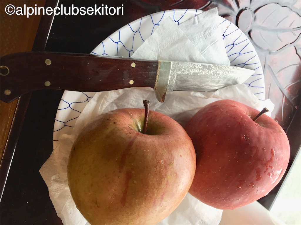 f:id:acsekitori:20190221112952j:image f:id:acsekitori:20190221112952j:image