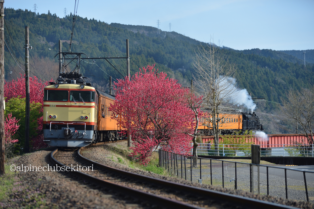 f:id:acsekitori:20190322170914j:plain