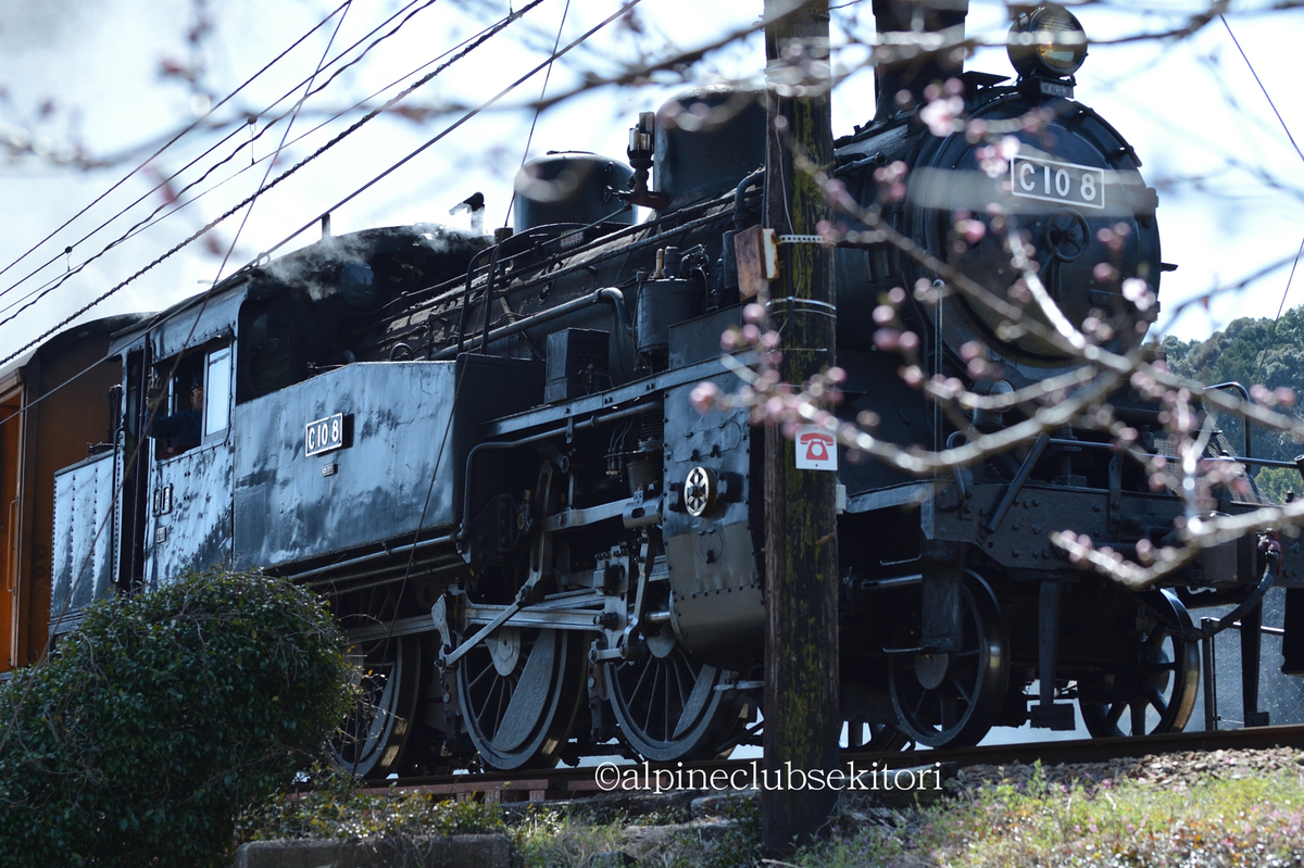 f:id:acsekitori:20190322171158j:plain