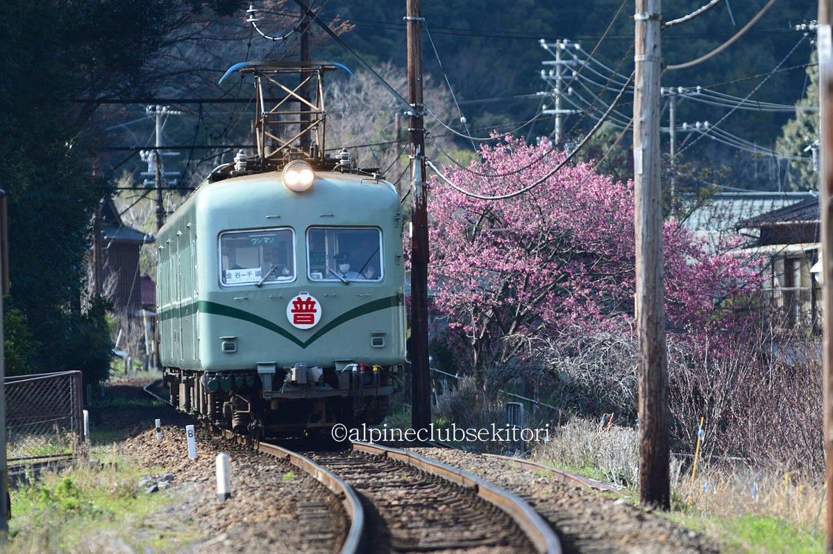 f:id:acsekitori:20190322171526j:plain