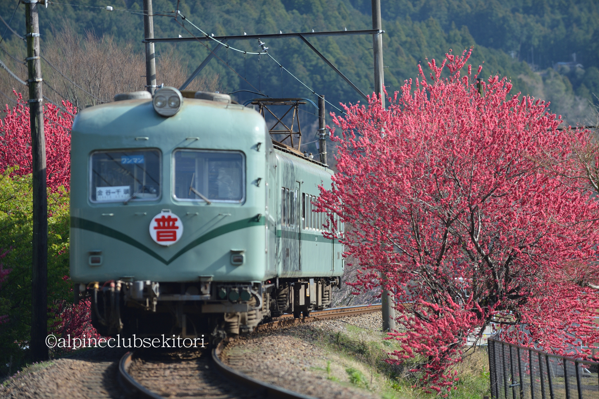 f:id:acsekitori:20190322171609j:plain