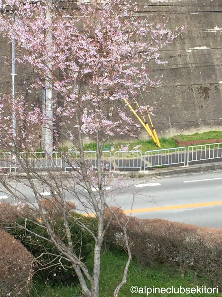 f:id:acsekitori:20190329111738j:image