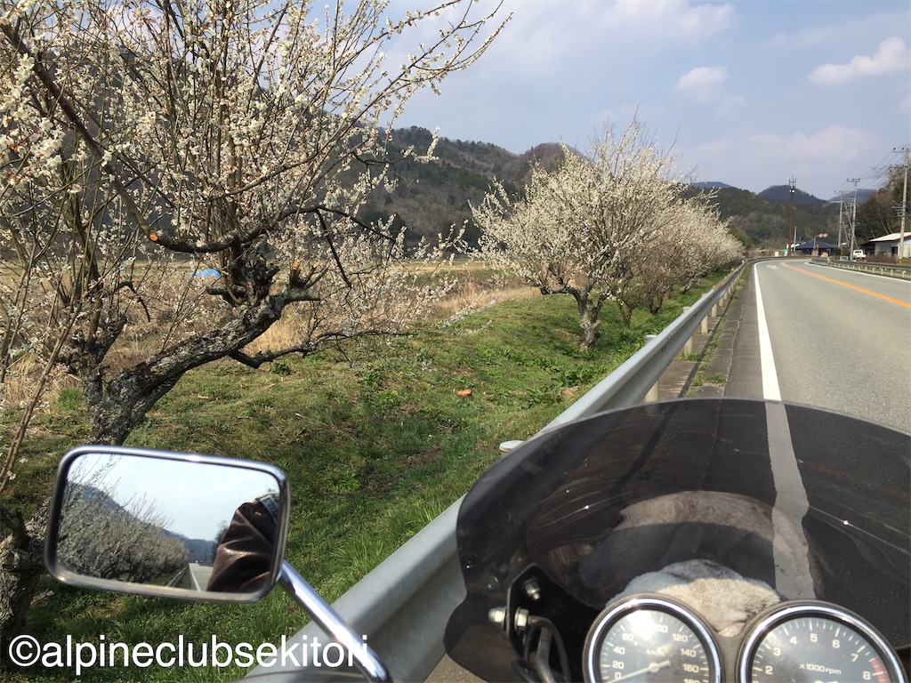 f:id:acsekitori:20190329111754j:image