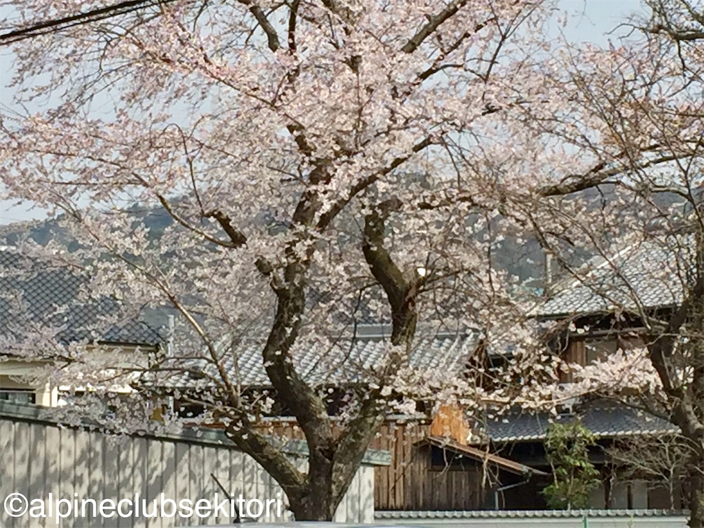 f:id:acsekitori:20190329225703j:image