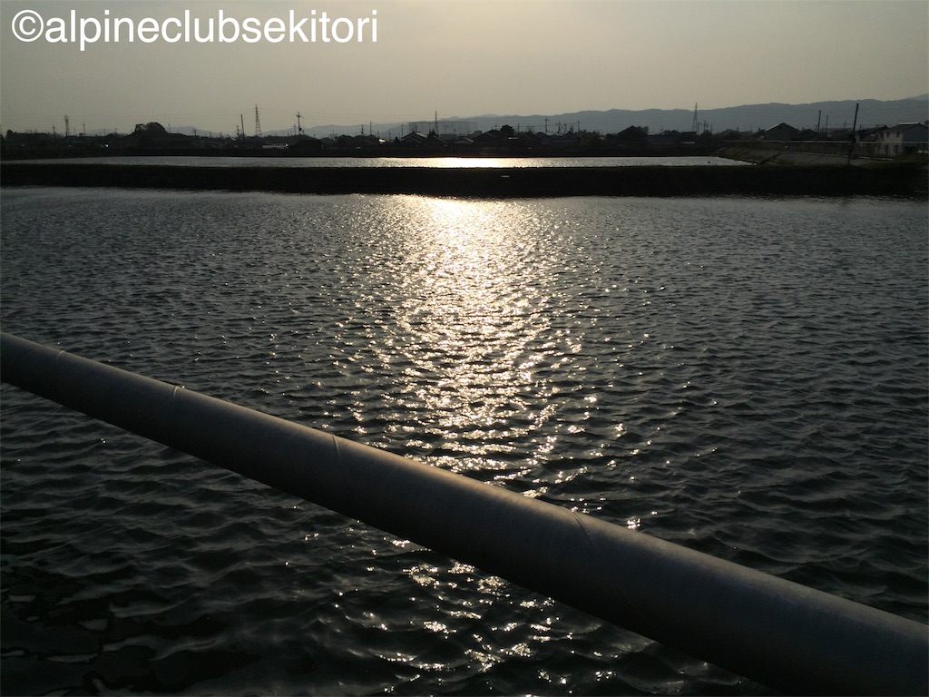 f:id:acsekitori:20190329225725j:image