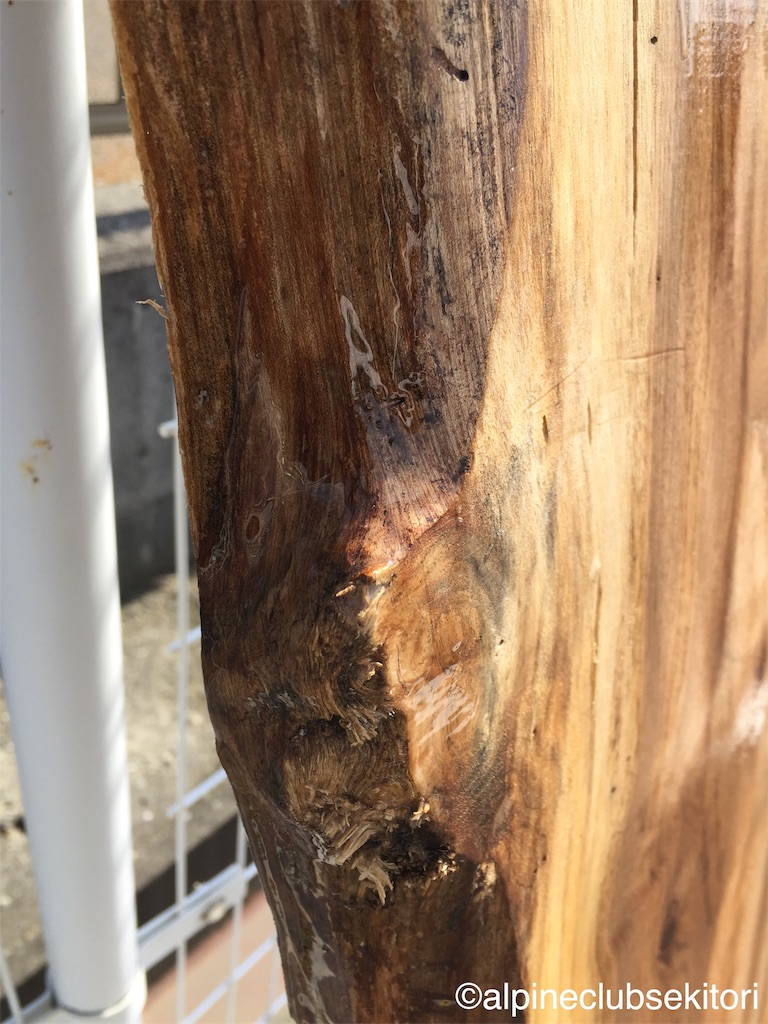 f:id:acsekitori:20190402175334j:image