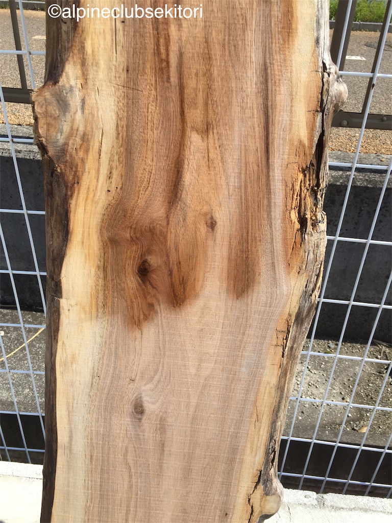 f:id:acsekitori:20190402175339j:image