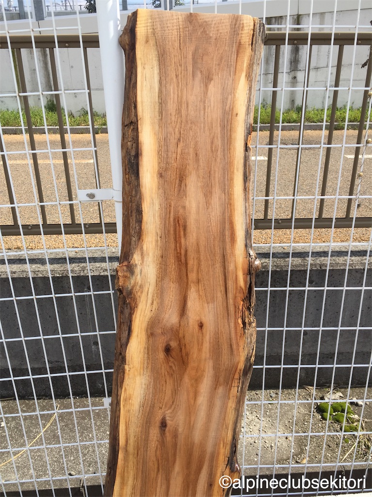 f:id:acsekitori:20190402175417j:image