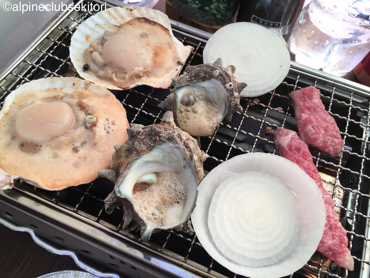 f:id:acsekitori:20190513152226j:plain