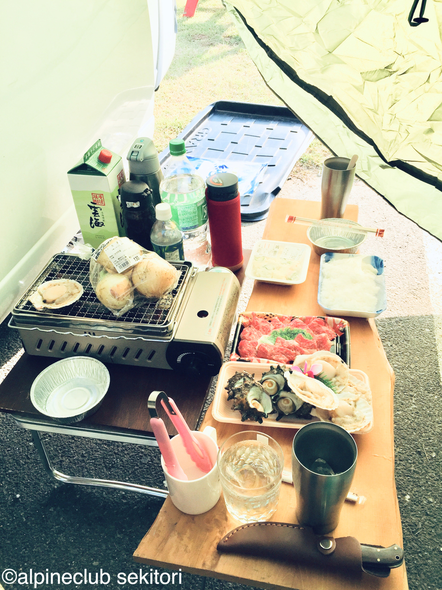 f:id:acsekitori:20190513152320j:plain