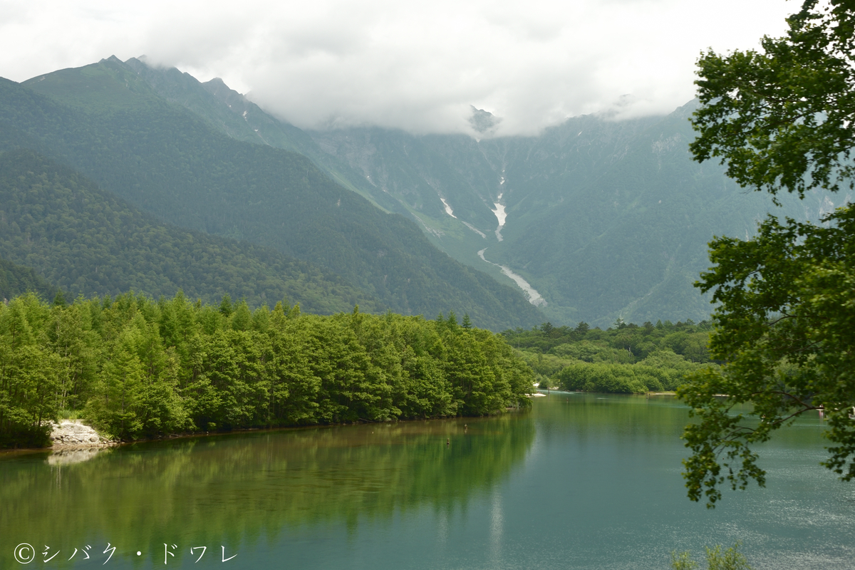 f:id:acsekitori:20190729212621j:plain