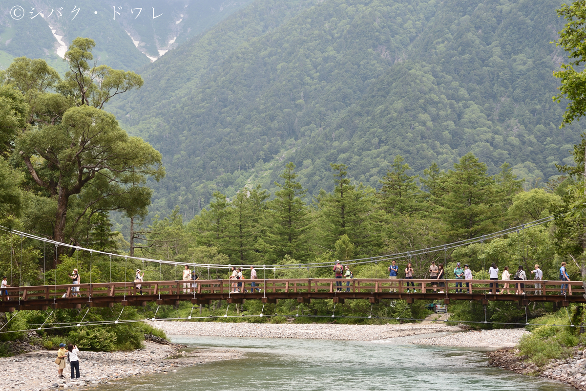 f:id:acsekitori:20190729212956j:plain