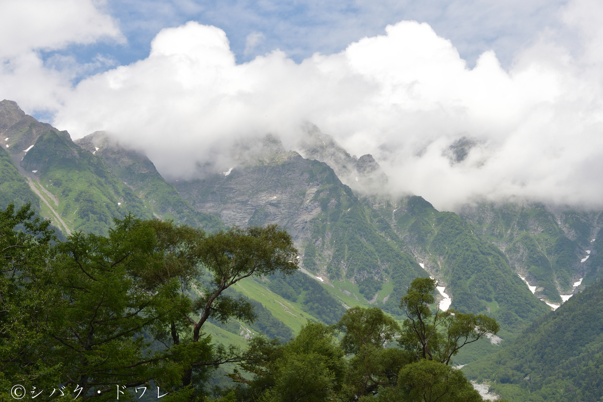 f:id:acsekitori:20190729213654j:plain