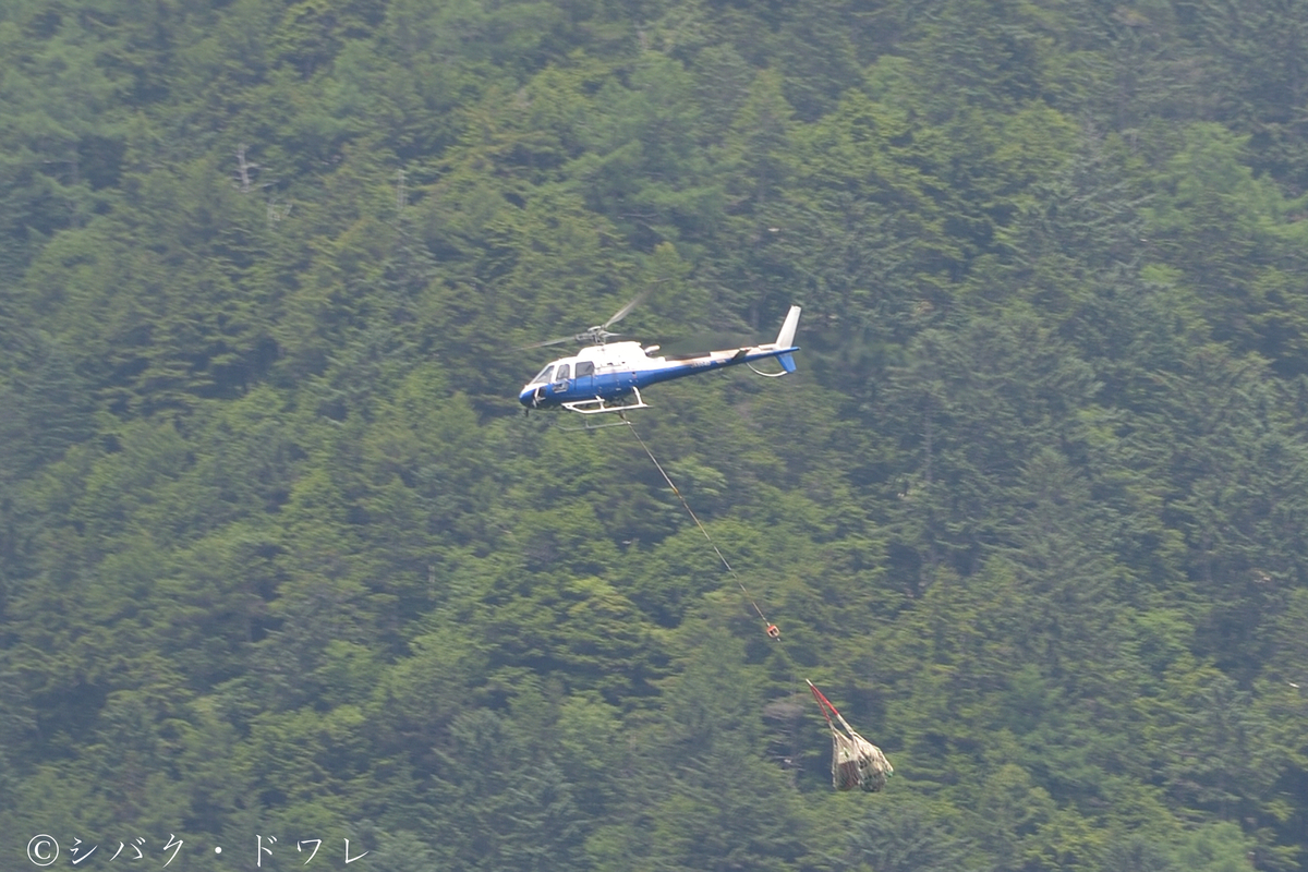 f:id:acsekitori:20190729214123j:plain