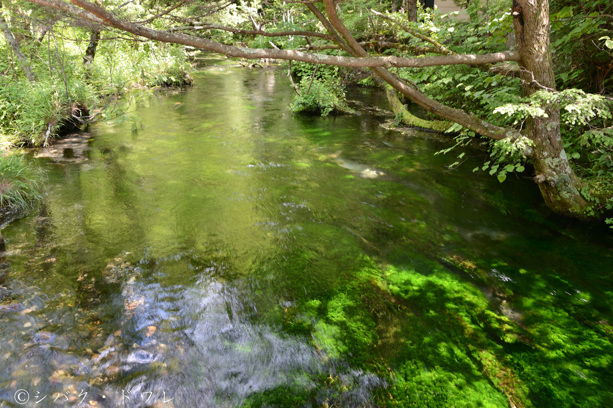 f:id:acsekitori:20190729215456j:plain