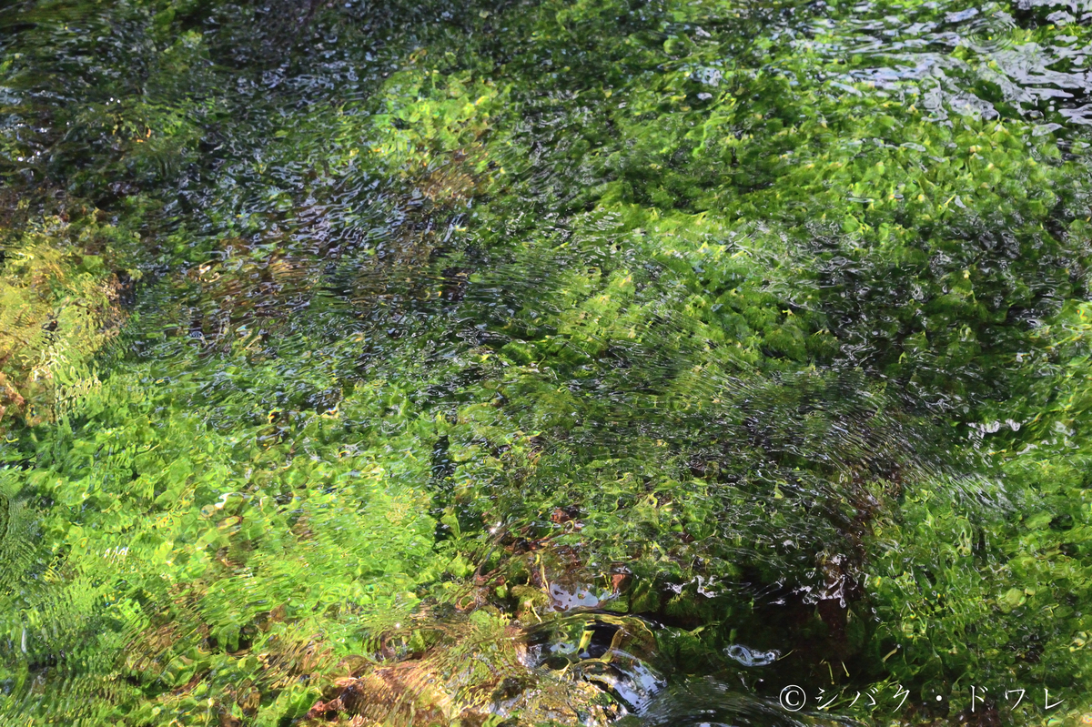 f:id:acsekitori:20190729215528j:plain