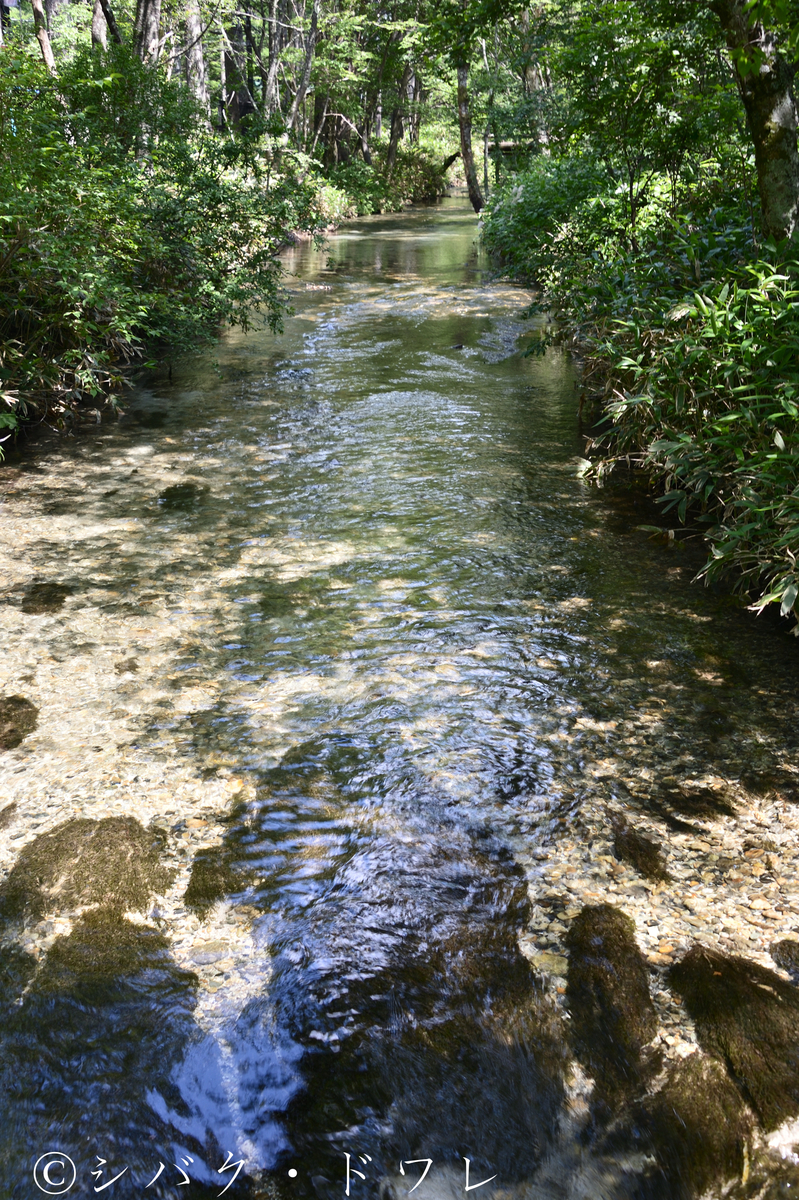 f:id:acsekitori:20190729215603j:plain