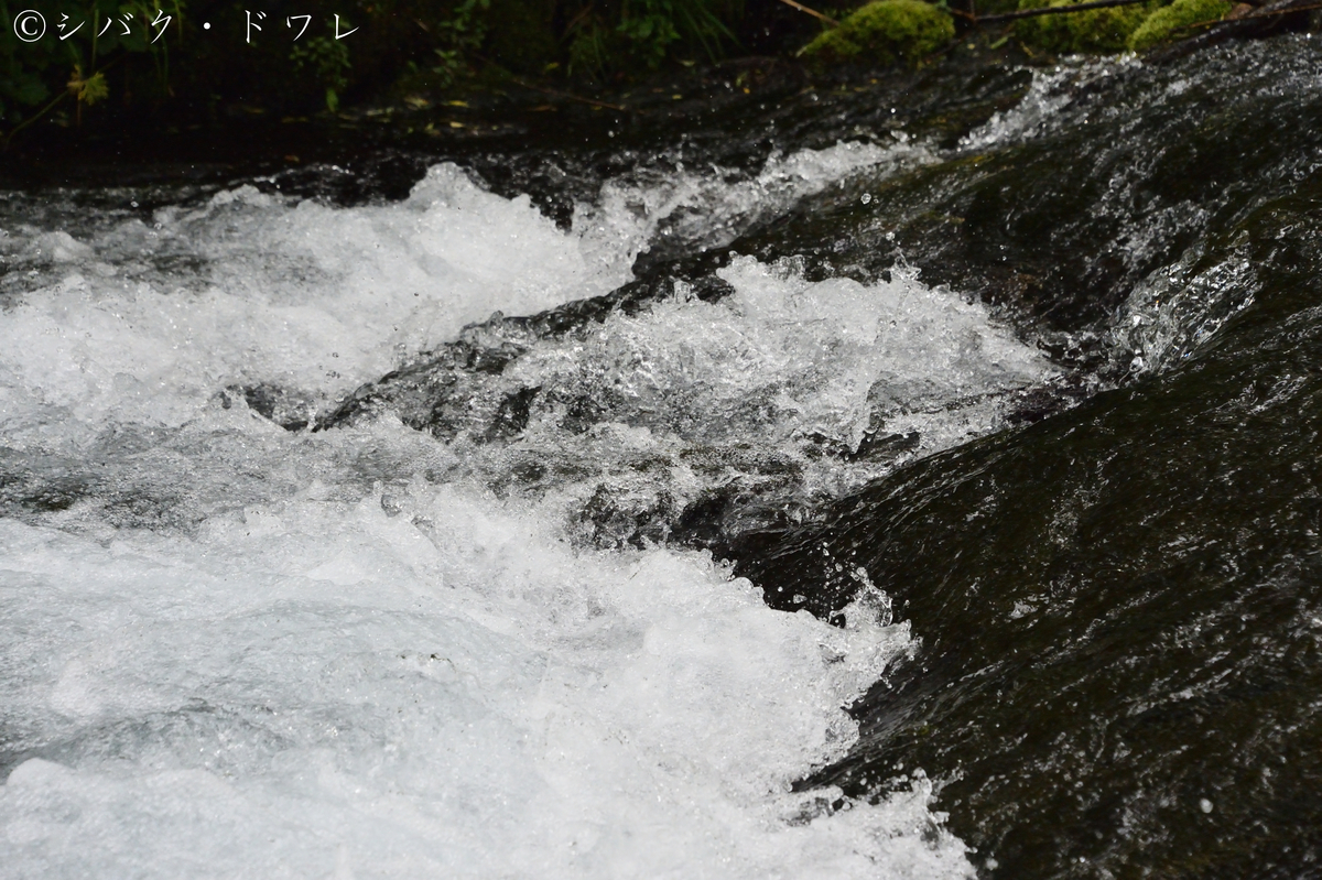 f:id:acsekitori:20190729223427j:plain