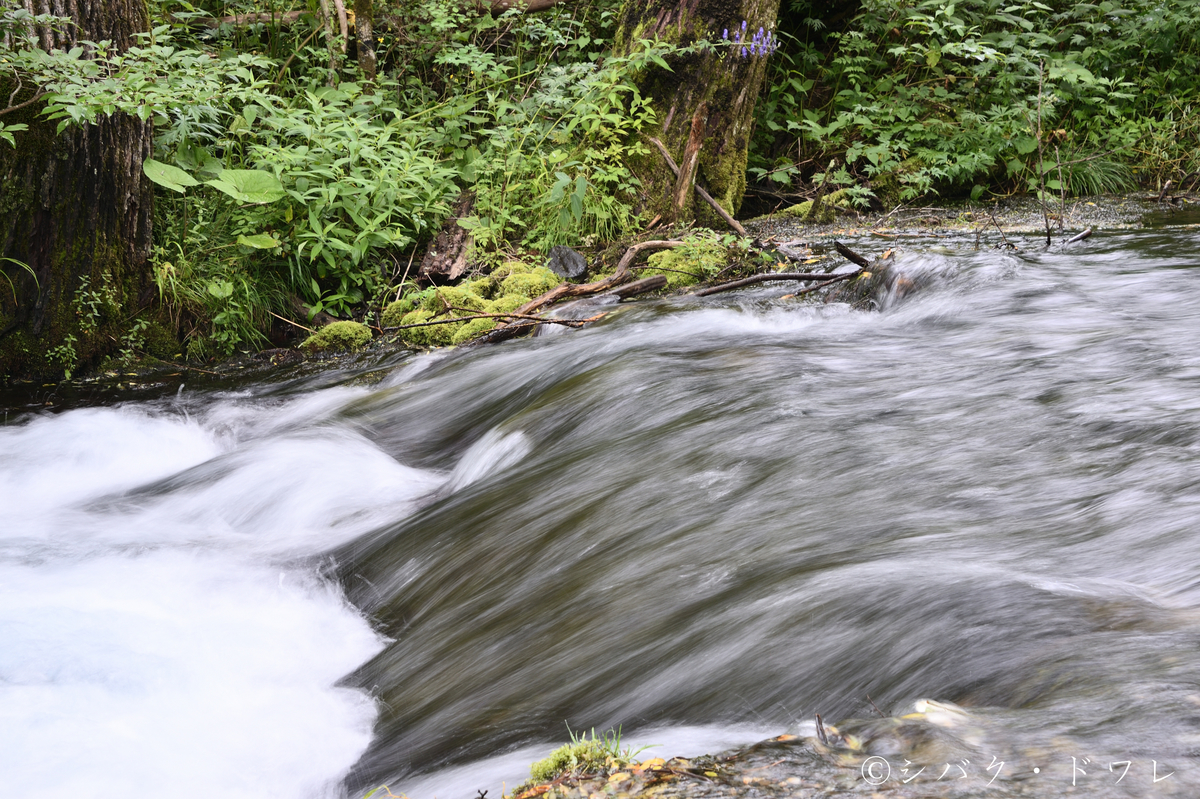 f:id:acsekitori:20190729223502j:plain