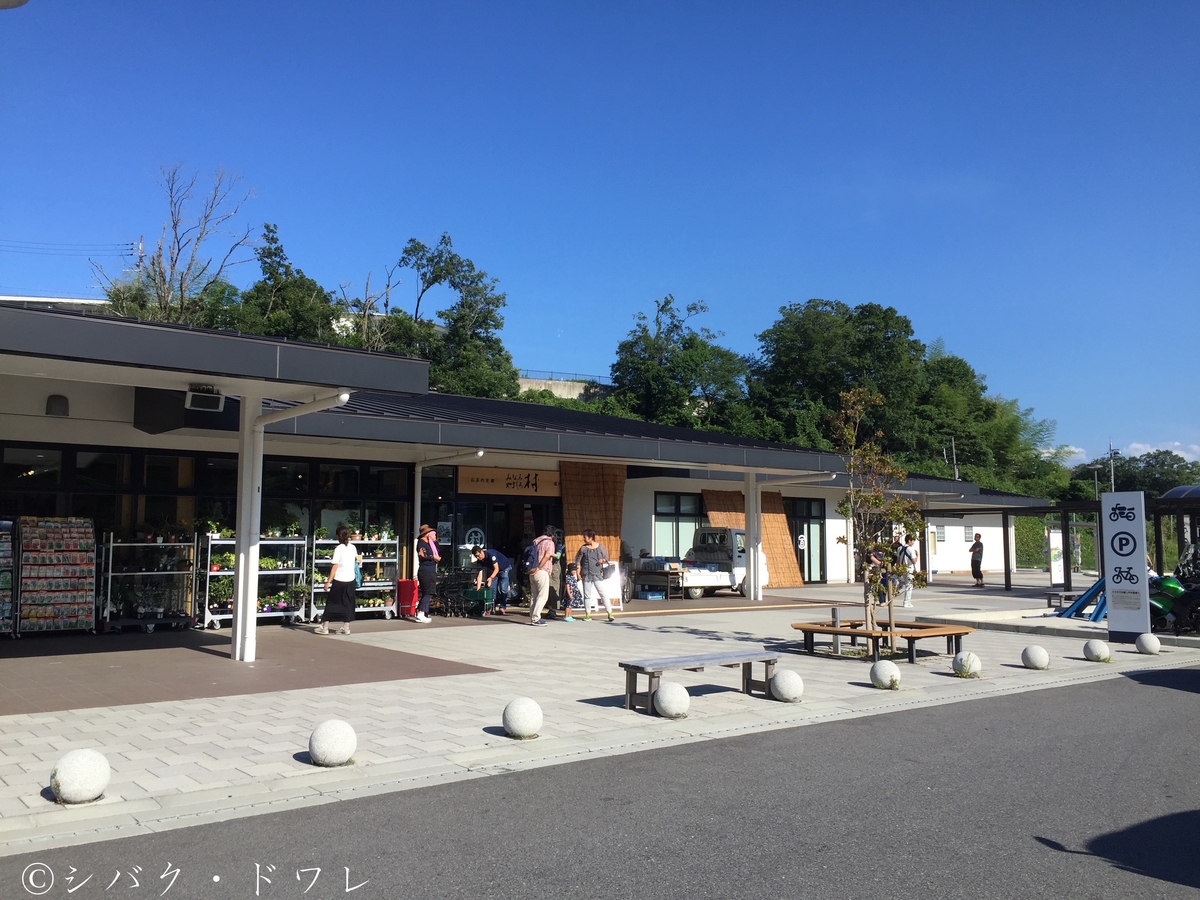 f:id:acsekitori:20190806160029j:plain