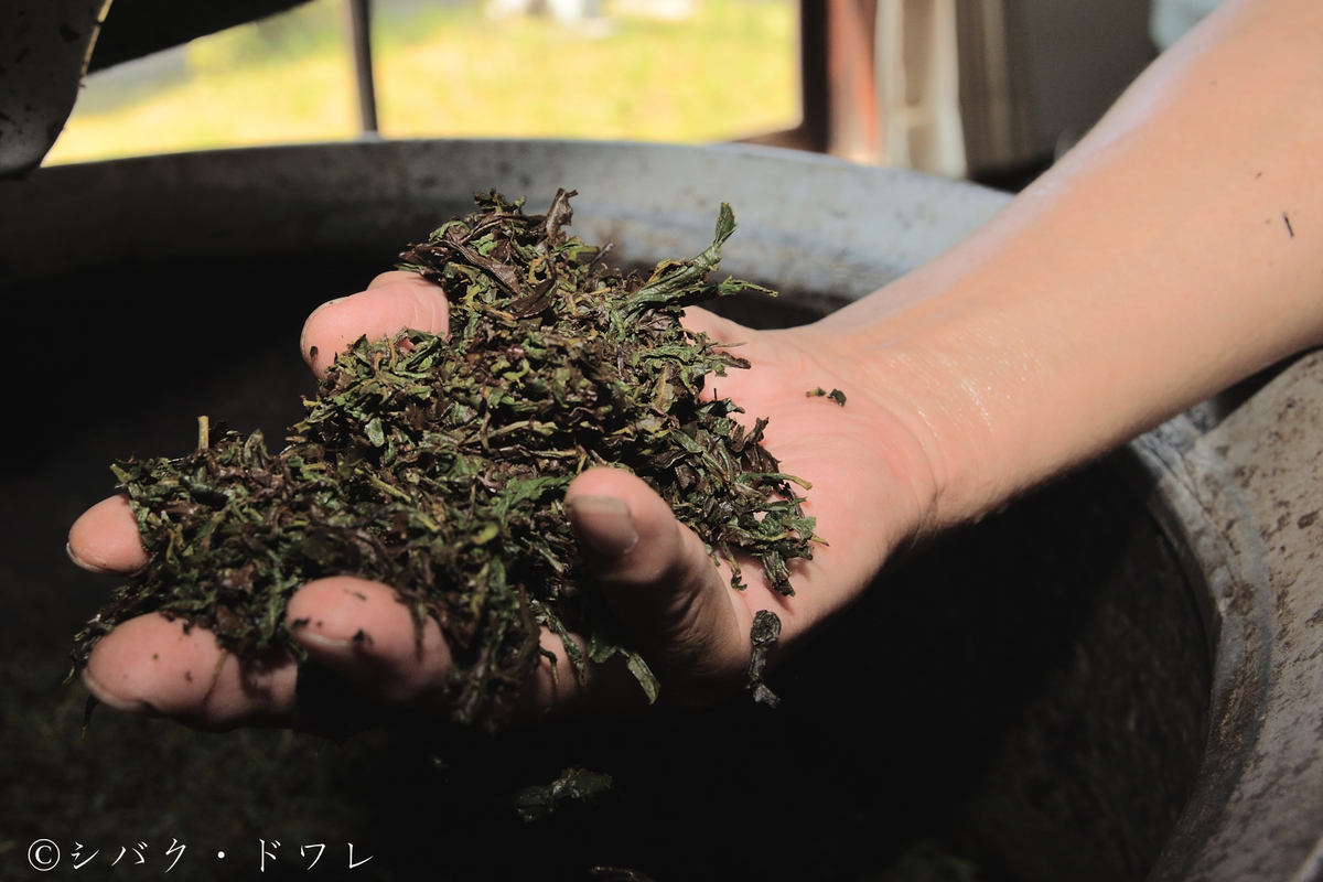 f:id:acsekitori:20190806160648j:plain