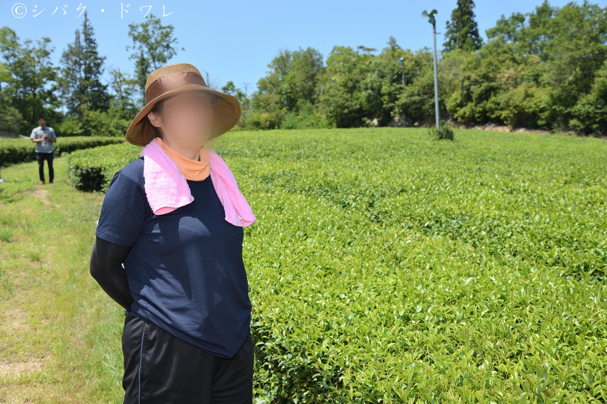 f:id:acsekitori:20190806160745j:plain