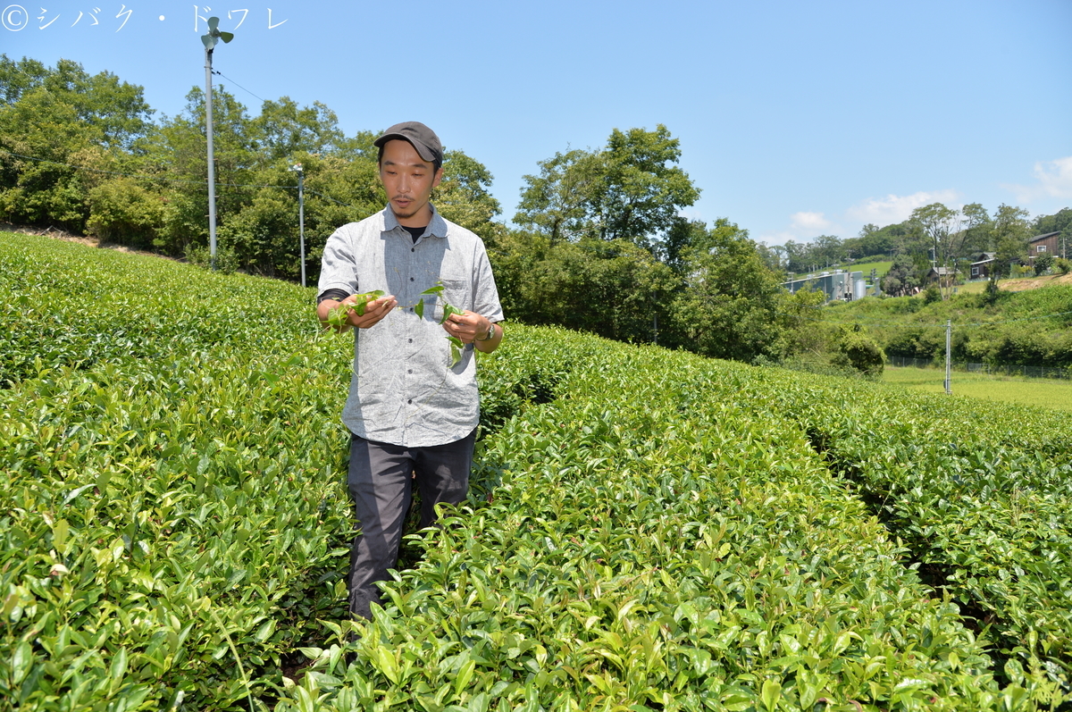 f:id:acsekitori:20190806160802j:plain