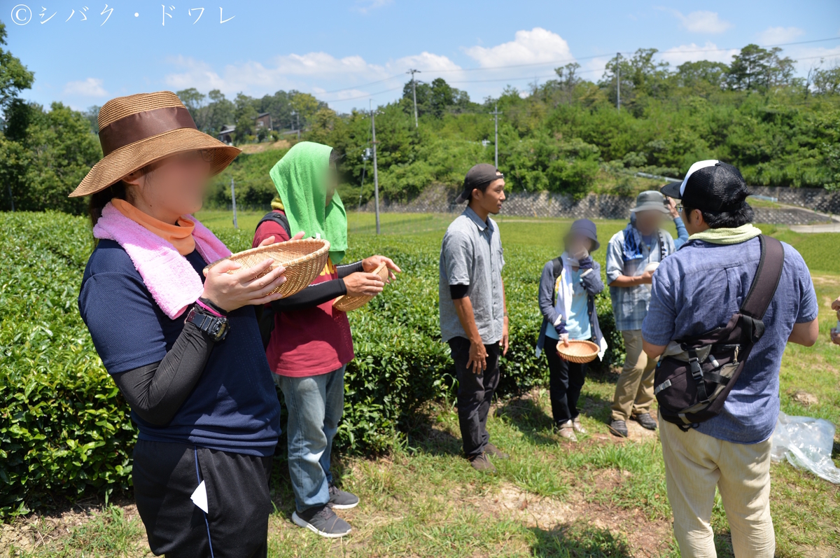 f:id:acsekitori:20190806160855j:plain