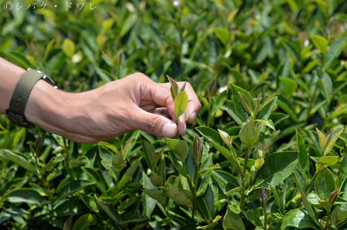 f:id:acsekitori:20190806160915j:plain