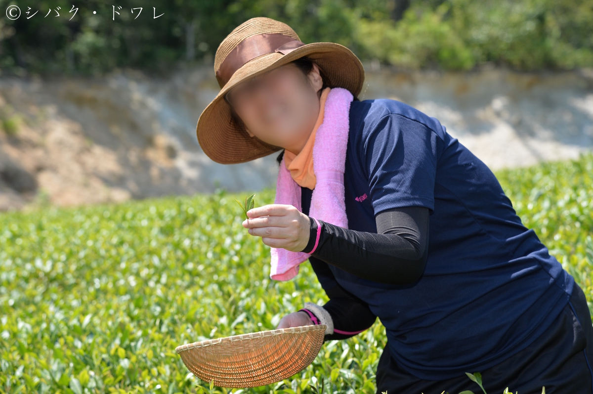 f:id:acsekitori:20190806160954j:plain