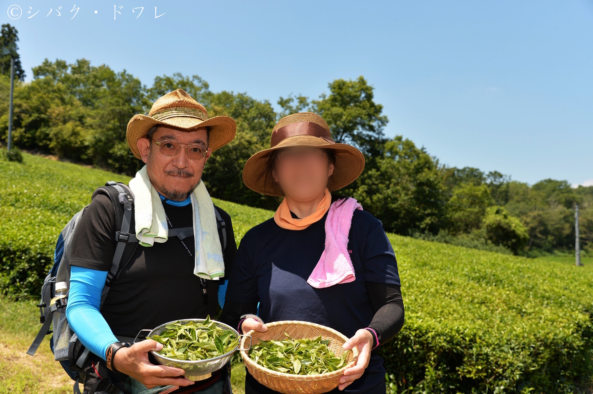 f:id:acsekitori:20190806161125j:plain