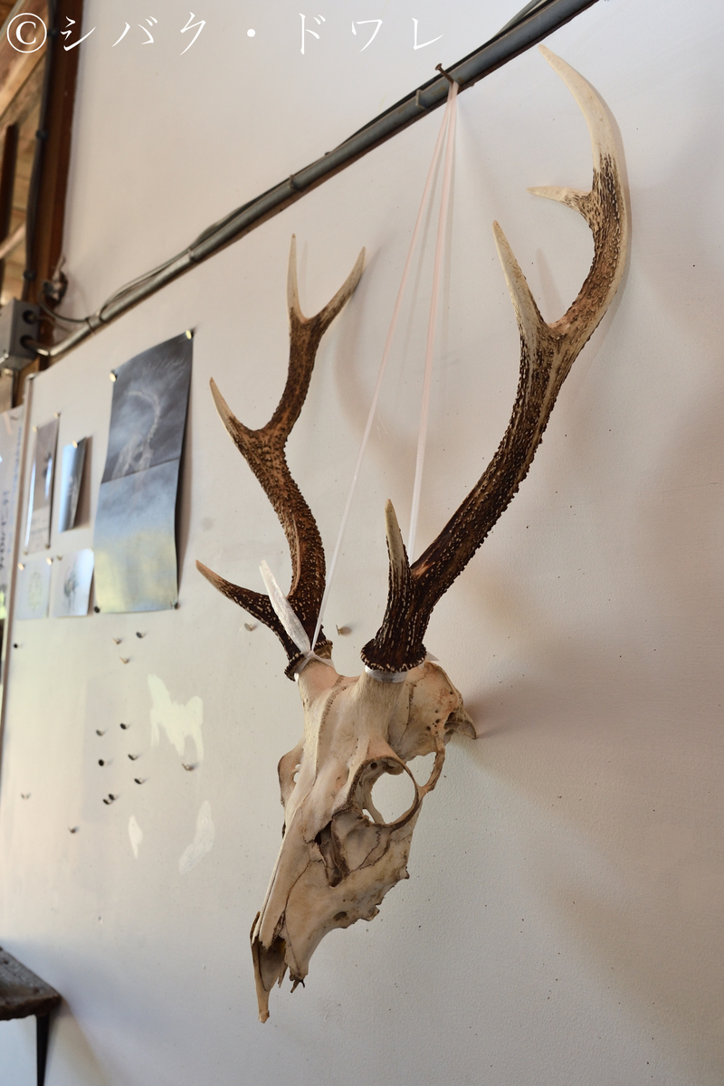 f:id:acsekitori:20190806161235j:plain