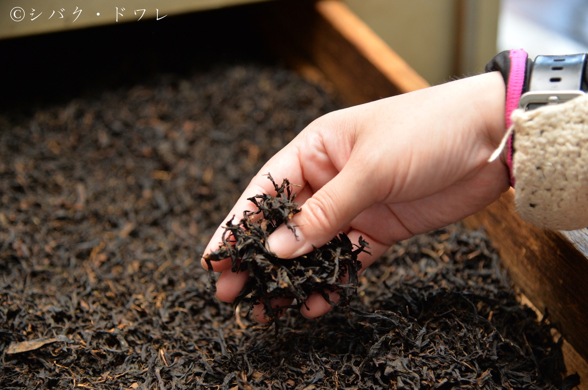 f:id:acsekitori:20190806161511j:plain