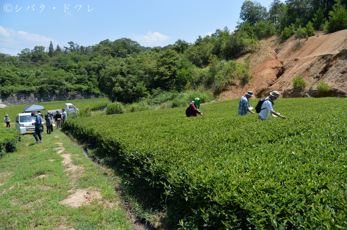 f:id:acsekitori:20190806162433j:plain