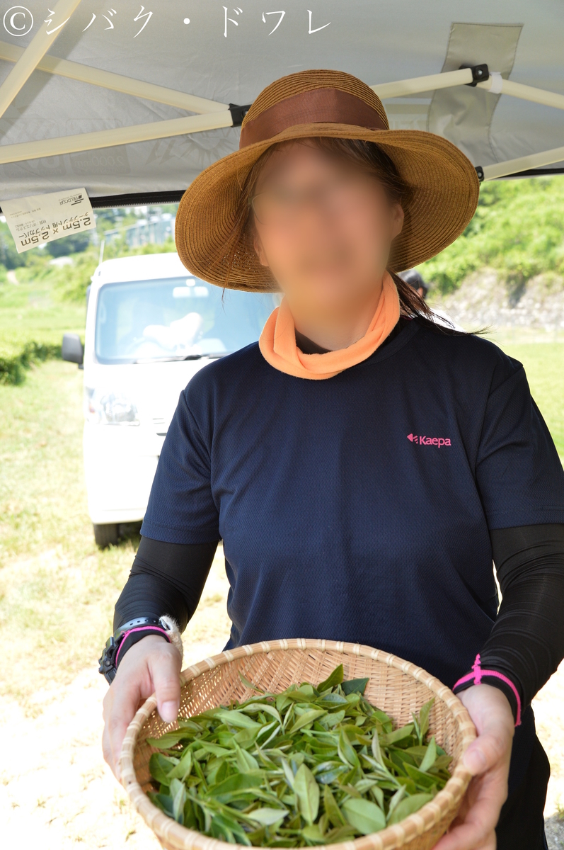 f:id:acsekitori:20190806162613j:plain