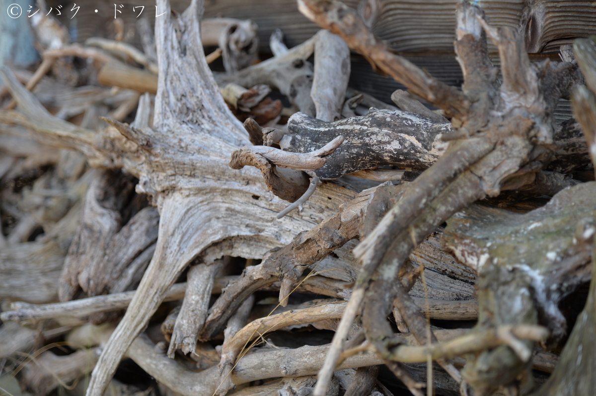 f:id:acsekitori:20190806162724j:plain