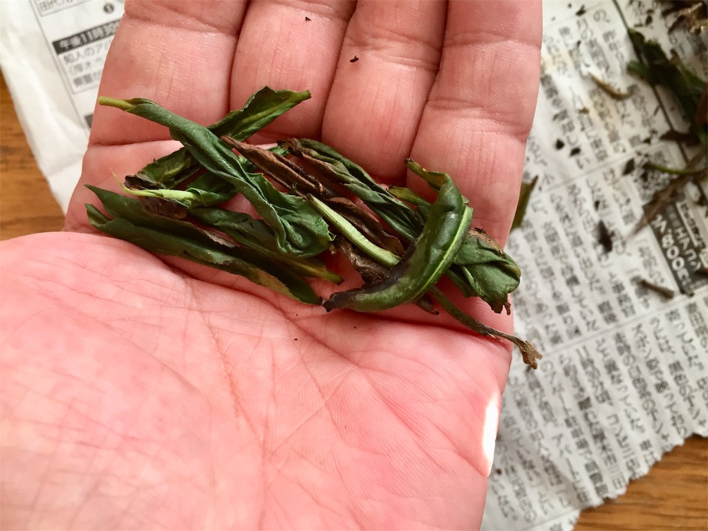 f:id:acsekitori:20190808135056j:image