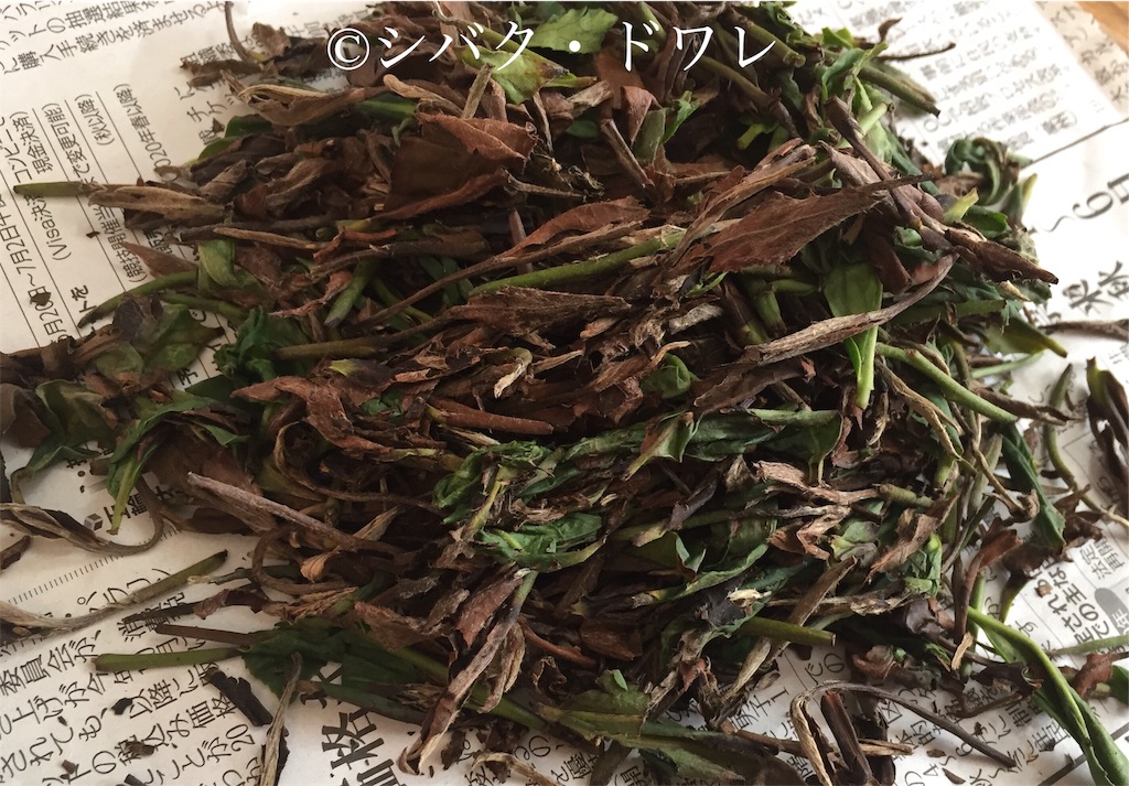 f:id:acsekitori:20190808135129j:image