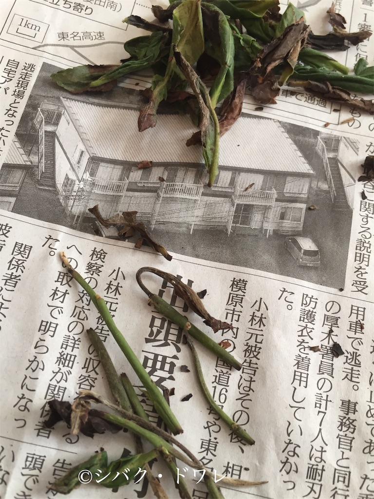 f:id:acsekitori:20190808135150j:image