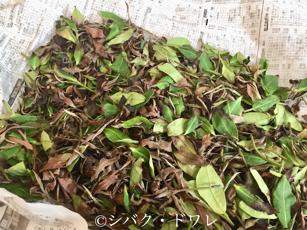 f:id:acsekitori:20190808135158j:image