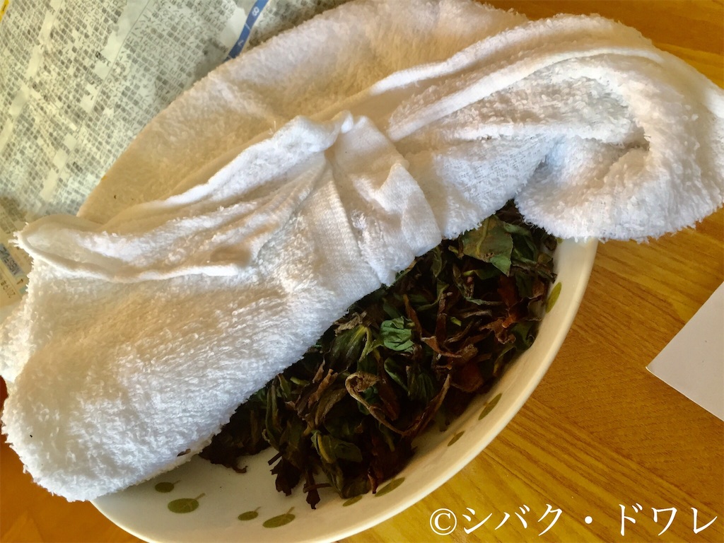 f:id:acsekitori:20190808135216j:image