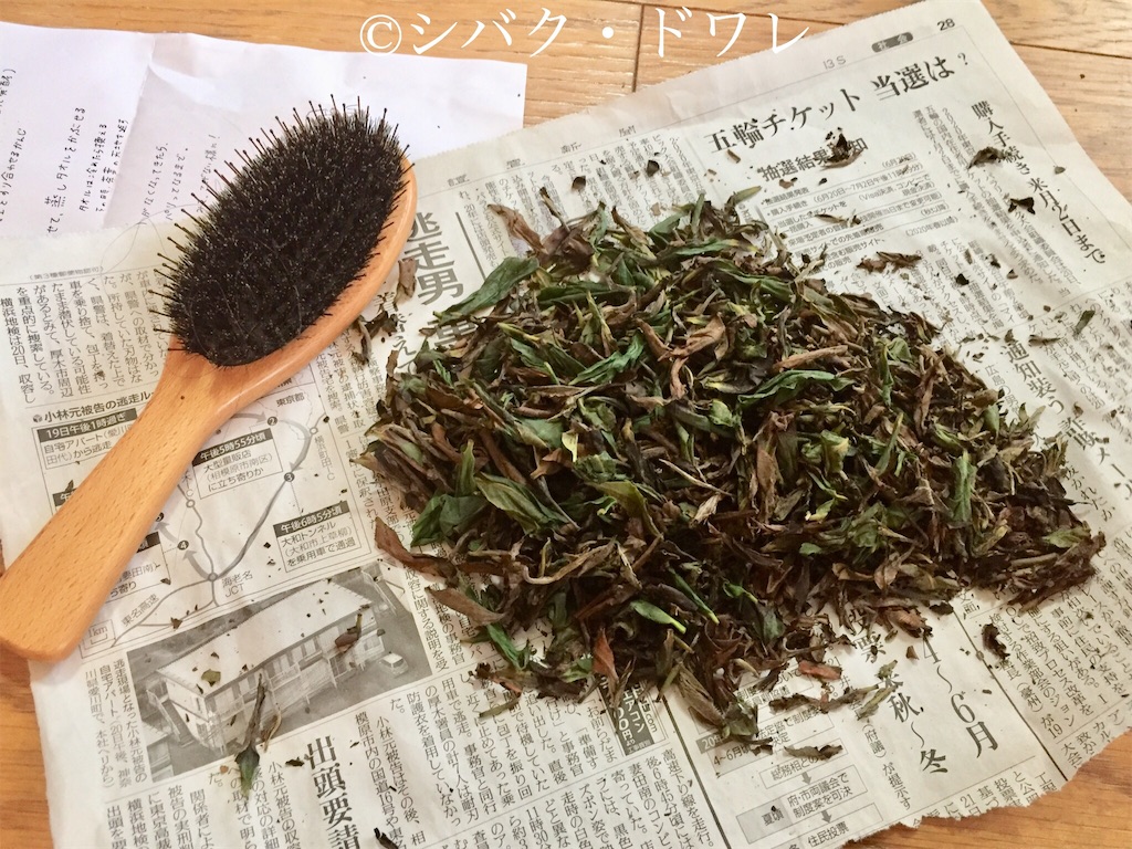 f:id:acsekitori:20190808135459j:image