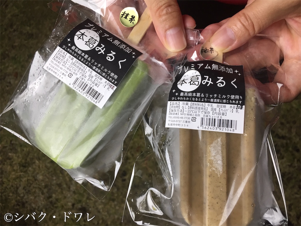 f:id:acsekitori:20190813214134j:image