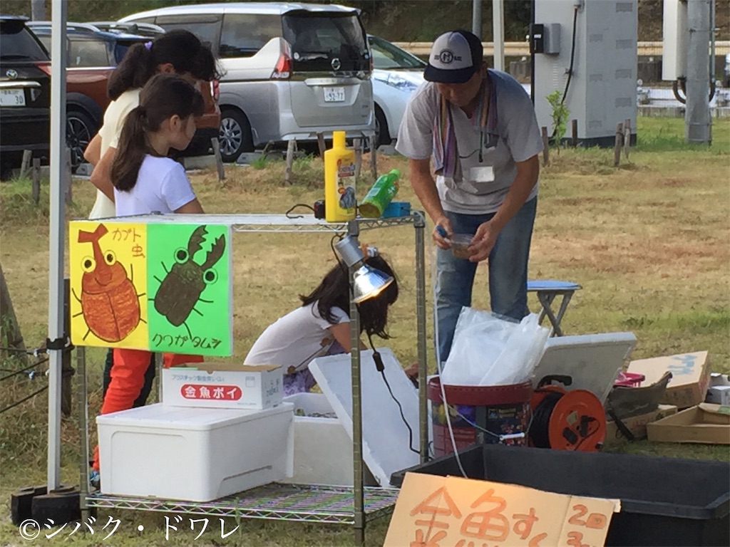 f:id:acsekitori:20190813214224j:image