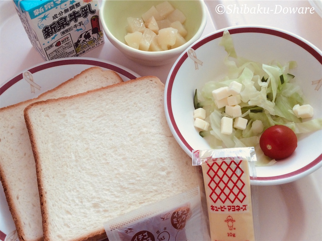 f:id:acsekitori:20190830133756j:image f:id:acsekitori:20190830133756j:image