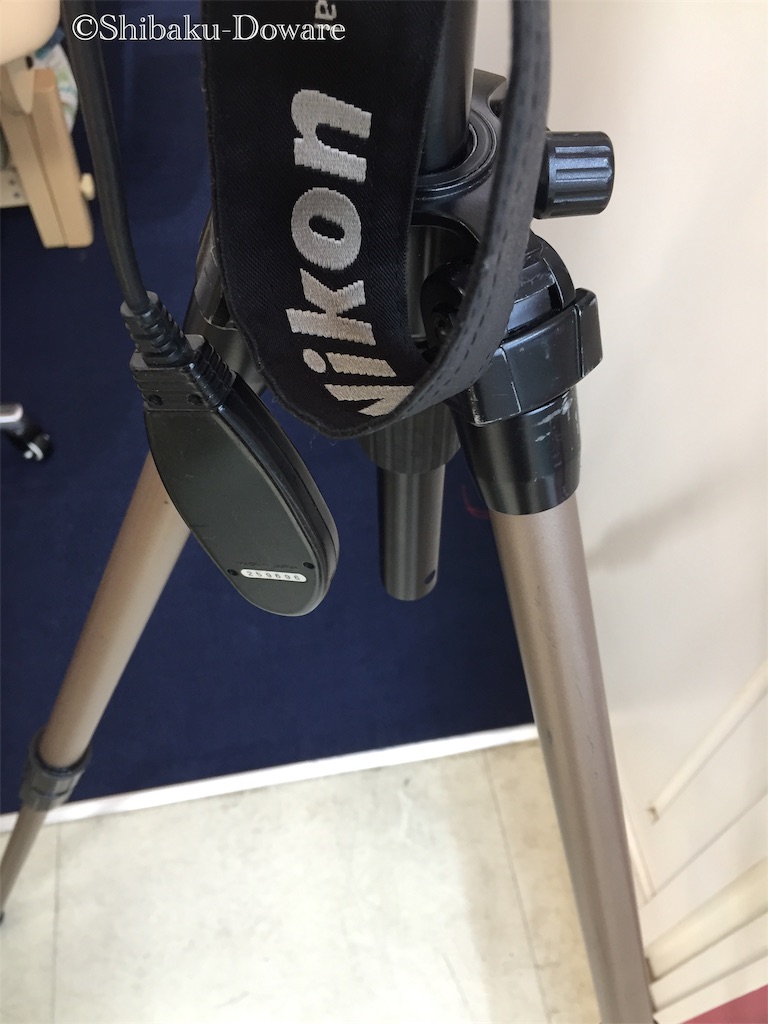 f:id:acsekitori:20190909172413j:image