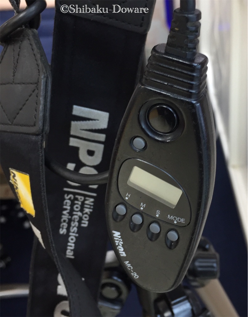 f:id:acsekitori:20190909191635j:image