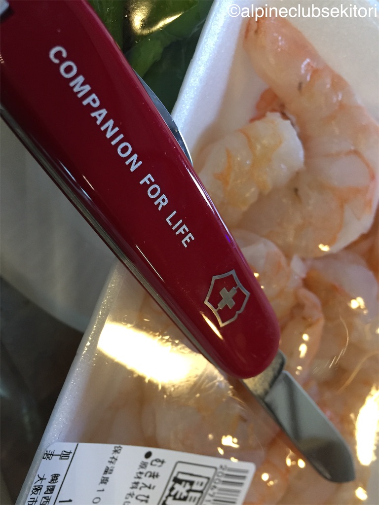 f:id:acsekitori:20191004225028j:image