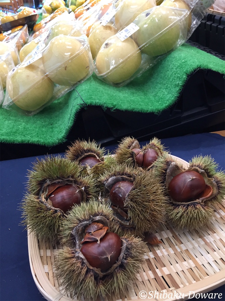 f:id:acsekitori:20191006202648j:image